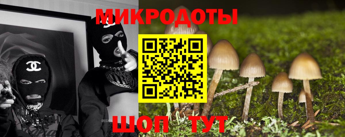 Псилоцибиновые грибы прущие грибы Осинники